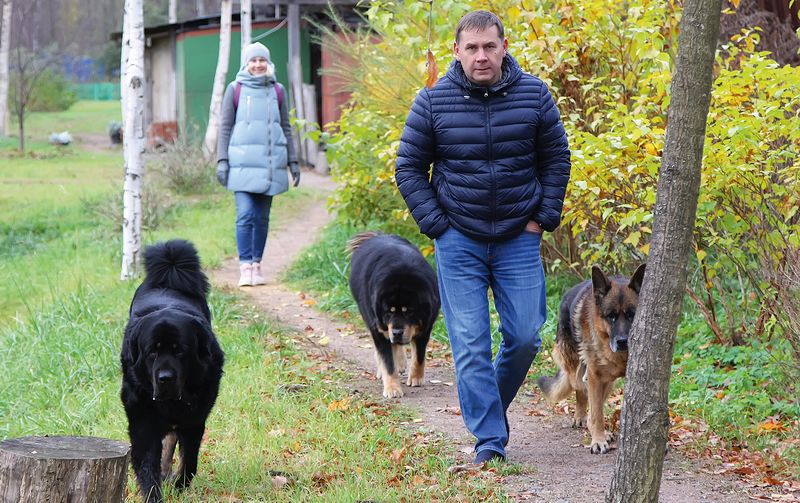 ПОВОДОК ПРИВЯЗАННОСТИ