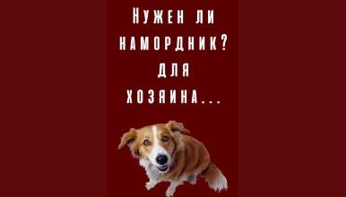 Нужен ли намордник? для хозяина...