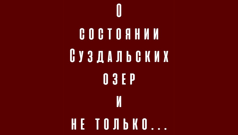 О состоянии Суздальских озёр и не только...